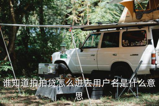 怎么查拍拍貸用戶名，我在拍拍貸申請(qǐng)了賬號(hào)想查詢?cè)趺崔k