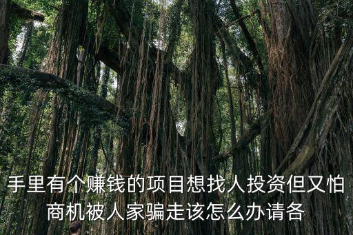 手里有個賺錢的項(xiàng)目想找人投資但又怕商機(jī)被人家騙走該怎么辦請各
