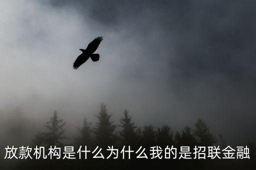 放款機(jī)構(gòu)是什么為什么我的是招聯(lián)金融