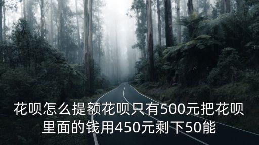 螞蟻花唄500額度怎么提升額度多少錢，花唄額度只有500 怎樣提高額度
