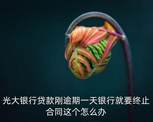 光大銀行貸款剛逾期一天銀行就要終止合同這個(gè)怎么辦