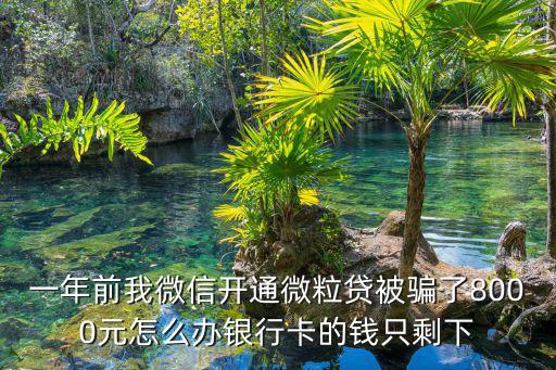 開(kāi)通微粒貸被騙怎么辦，微粒貸被騙能報(bào)警嗎