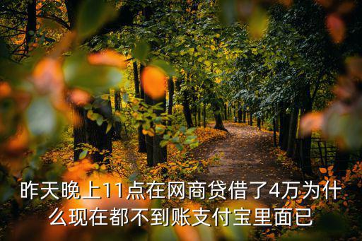 昨天晚上11點在網(wǎng)商貸借了4萬為什么現(xiàn)在都不到賬支付寶里面已