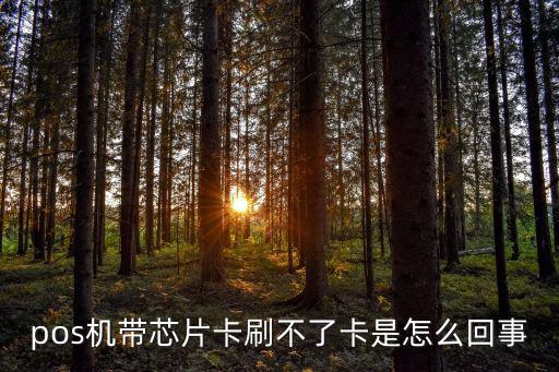 刷卡機怎么不能刷ic卡，Pos機怎么不支持芯片卡
