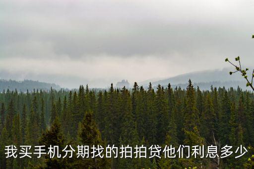 拍拍貸分期買手機利息怎么算，我買手機分期找的拍拍貸他們利息多少