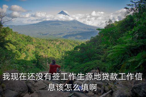 小貸工作資料怎么填，我現(xiàn)在還沒有簽工作生源地貸款工作信息該怎么填啊