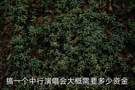 搞一個中行演唱會大概需要多少資金