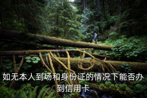 如無本人到場和身份證的情況下能否辦到信用卡