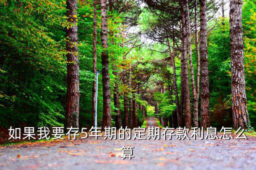 五年期定期利息怎么算利息怎么算，一萬塊錢存五年的期一天按照多少利率計算利息