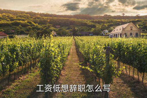 工資低想辭職怎么寫