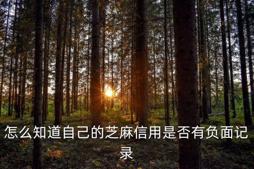 怎么查芝麻分負面記錄，怎么知道自己的芝麻信用是否有負面記錄