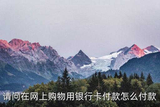 網(wǎng)上購(gòu)物銀行卡怎么付款方式，網(wǎng)上購(gòu)物怎么用銀行卡支付現(xiàn)金具體操作