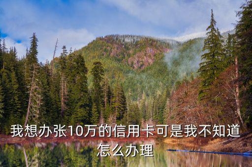 我想辦張10萬(wàn)的信用卡可是我不知道怎么辦理