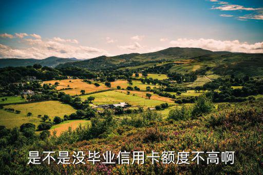 是不是沒畢業(yè)信用卡額度不高啊