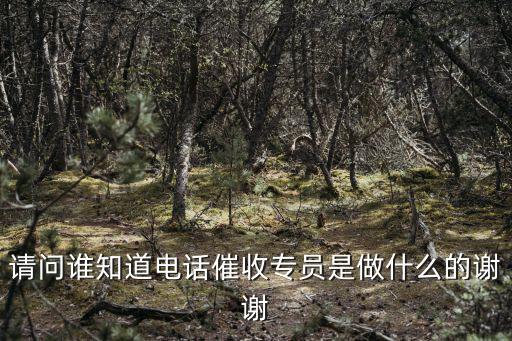 請問誰知道電話催收專員是做什么的謝謝
