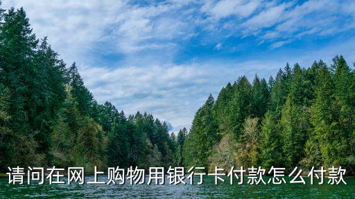 請問在網(wǎng)上購物用銀行卡付款怎么付款