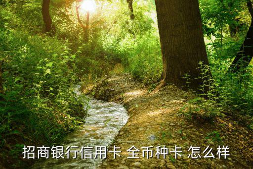招商銀行信用卡 全幣種卡 怎么樣