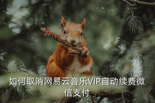 如何取消網(wǎng)易云音樂VIP自動(dòng)續(xù)費(fèi)微信支付