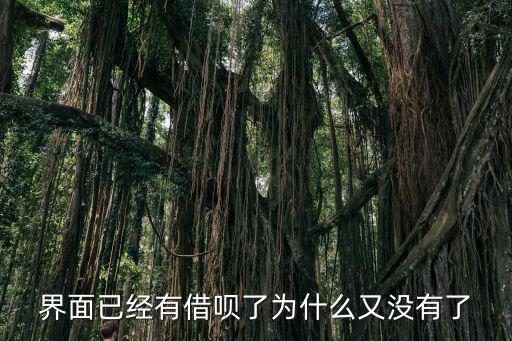 界面已經(jīng)有借唄了為什么又沒(méi)有了