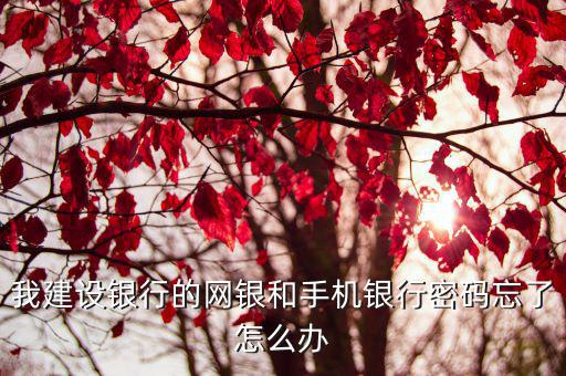 建行個人登陸密碼忘了怎么辦，建設(shè)銀行的手機銀行密碼忘了怎么辦