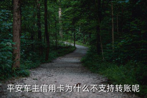 平安車(chē)主卡怎么轉(zhuǎn)賬，平安銀行車(chē)主卡可以進(jìn)行手機(jī)轉(zhuǎn)賬嗎