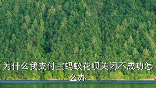 為什么我支付寶螞蟻花唄關(guān)閉不成功怎么辦