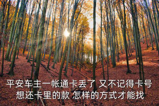 平安車主卡丟了怎么辦理嗎，平安車主卡丟失補(bǔ)卡需多少錢