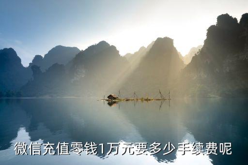 微信充值零錢1萬元要多少手續(xù)費呢