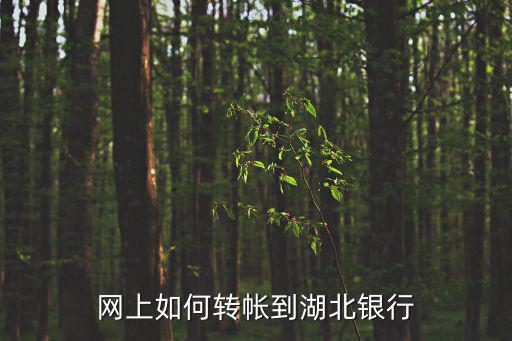 怎么登錄湖北銀行，湖北農(nóng)村信用社網(wǎng)上銀行怎么上