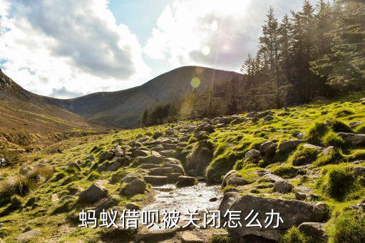 螞蟻借唄被關(guān)閉怎么辦