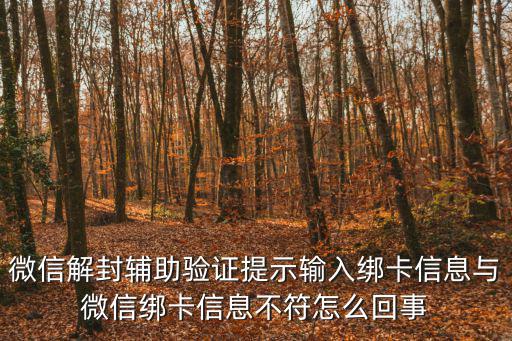 微信解封輔助驗(yàn)證提示輸入綁卡信息與微信綁卡信息不符怎么回事