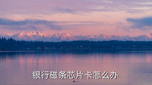 芯片卡怎么 破壞，我的銀行卡芯片壞了該怎么辦