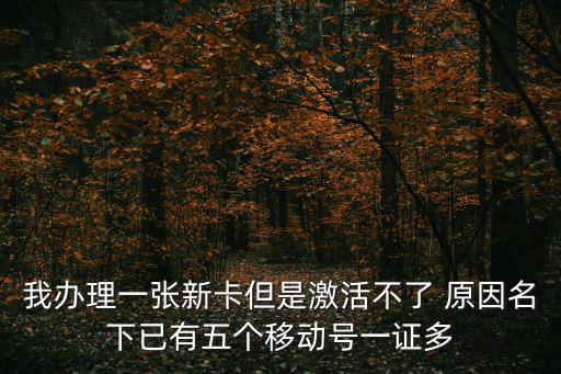 我辦理一張新卡但是激活不了 原因名下已有五個(gè)移動(dòng)號(hào)一證多