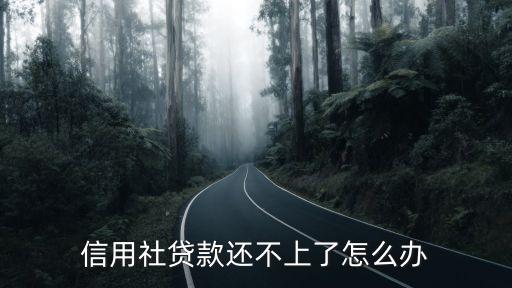 信用社貸款還不上了怎么辦