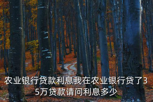 在農(nóng)行銀行貸款怎么貸款利率，農(nóng)業(yè)銀行貸款怎么貸利息是485 分還是厘