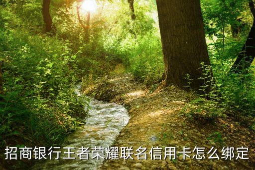 王者榮耀聯(lián)名卡怎么弄，聯(lián)名卡如何申請(qǐng)