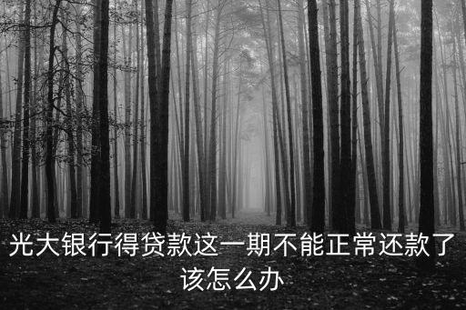 光大銀行得貸款這一期不能正常還款了該怎么辦