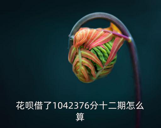 花唄分期十二期怎么算的，花唄花費800分十二期怎么算