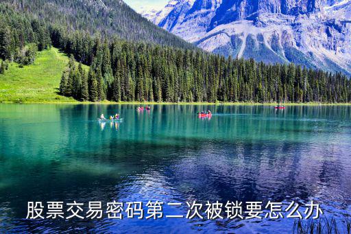 交易密碼被鎖定怎么辦，網(wǎng)上交易輸入交易密碼錯誤被鎖定怎么辦