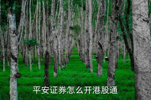 平安證券怎么開港股通