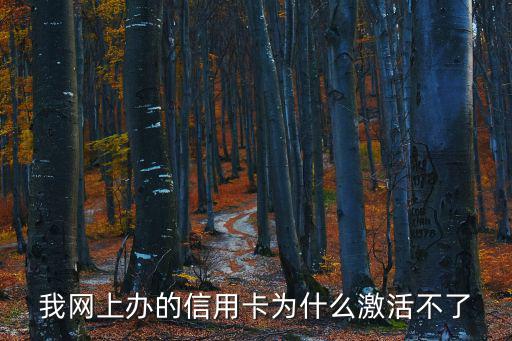 我網(wǎng)上辦的信用卡為什么激活不了