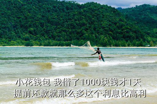 小花錢包提前還款利息怎么算，小花錢包 我借了1000塊錢才1天 提前還款就那么多這個(gè)利息比高利