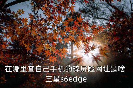 在哪里查自己手機(jī)的碎屏險(xiǎn)網(wǎng)址是啥 三星s6edge