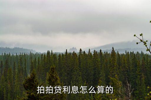 拍拍貸利息怎么算的