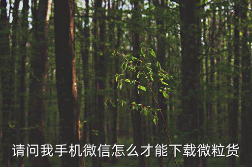 請問我手機微信怎么才能下載微粒貨