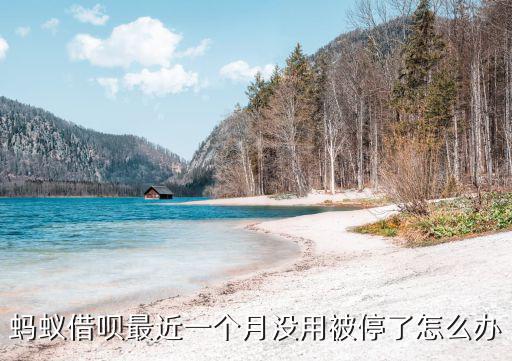 借唄逾期停用了怎么辦，螞蟻借唄逾期兩天還了之后被關(guān)閉了還能重新開通嗎