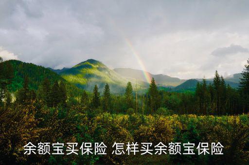 余額寶財富保險怎么買，余額寶買保險 怎樣買余額寶保險