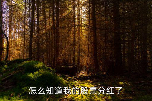 怎么查2017年股票分紅，如何查詢股票的分紅數(shù)據(jù)
