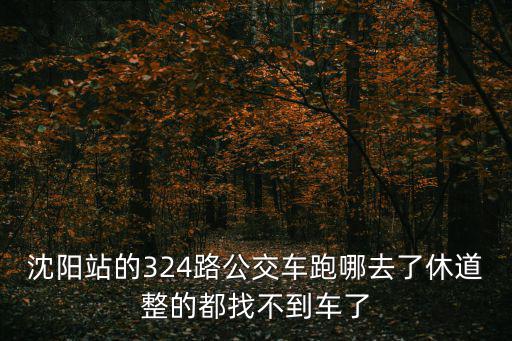 沈陽站的324路公交車跑哪去了休道整的都找不到車了