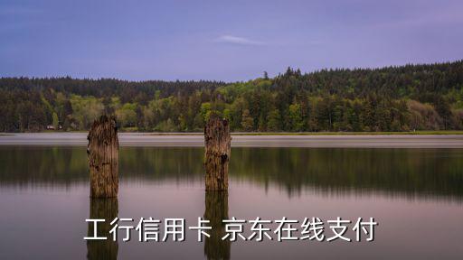 工行信用卡 京東在線支付